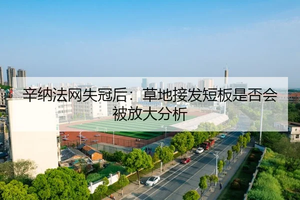 辛纳法网失冠后：草地接发短板是否会被放大分析